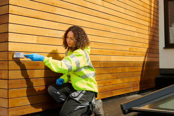 Best Custom Trim and Detailing for Siding  in Homosassa, FL
