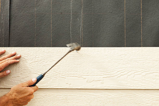 Best Historical Building Siding Restoration  in Homosassa, FL